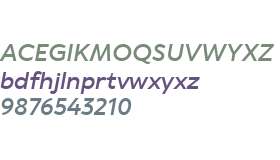 TT Wellingtons Trial