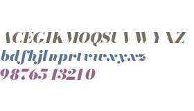 Bodoni* 36 Fatface Italic