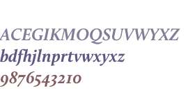 Calluna W03 Bold Italic
