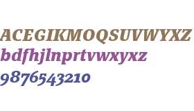 Page Serif OT W03 Bold Italic