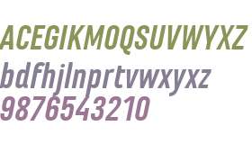 Marianina FY W01 Bold Italic