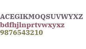 IBM Plex Serif Bold