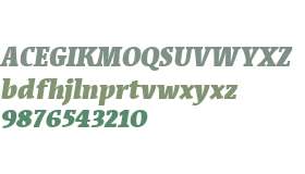 Acuta W03 Fat Italic