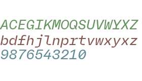 RB Rational Neue Mono Test Medium