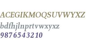 Combi Serif W01 Semibold Obl
