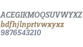 ZineSlabDis Medium Italic