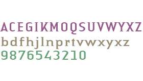 Authentic Small Serif W04 Rg