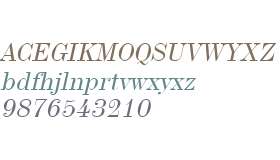 Indy 17 Wide Italic