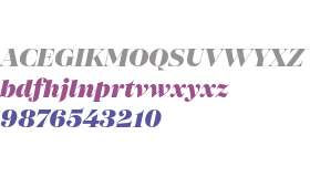 SFT Schrifted Serif TRIAL D D Black