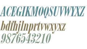 Update 537 Italic