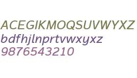 Magnum Sans W01 Medium Italic V2