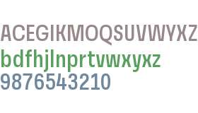 Grandis Condensed Medium