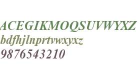 NimbusRomDCY Bold Italic