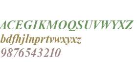 NimbusRomDGR Bold Italic