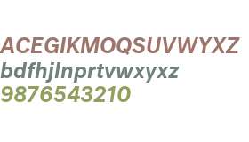 d286fb74736fe185 - subset of Neutral Web Medium Italic