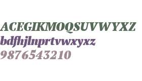PT Serif W01 Narrow Black Ital