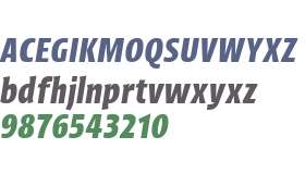 Picador Sans Test Bold Italic
