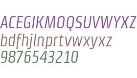 Klint W04 Condensed Italic
