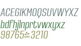 FSP DEMO - Densa Regular Italic