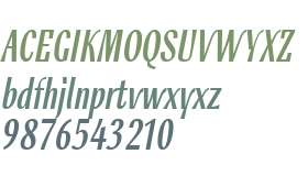 Rossika W01 Regular Italic