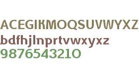 TCCSANS Bold