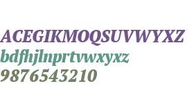 PT Serif W01 Narrow Extra Bd It