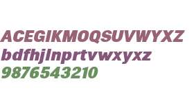 Eurotypo Sans Black Italic