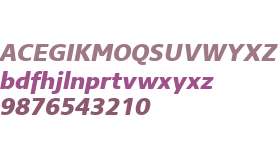 Core Sans NR W01 75 XBd Italic