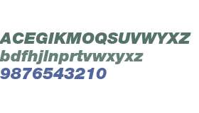 Helvetica Neue LT W06 96 BlkIt