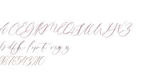 Calm Lovely Script