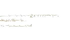 Salamander Ornaments Bold