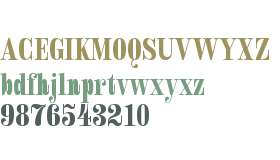 Royalis Test Bold Cond