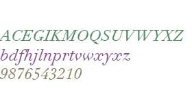 Didot eText W01 Italic