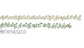 Tam_Shakti_8