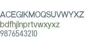 Modular Black Sans