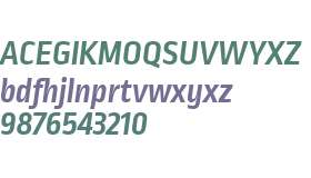 Ropa Sans W01 Bold Italic