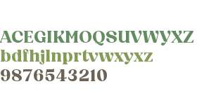 BT Amibus Trial Bold