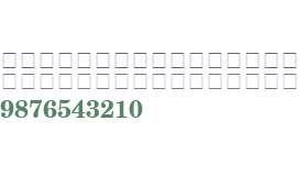 Century Schoolbook RepriseFractions SSi Fractions Bold