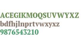 PT Serif W01 Narrow Extra Bold
