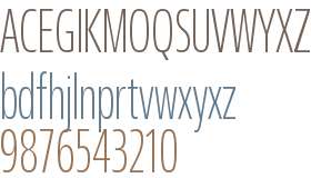 Fact Compressed Extra Light