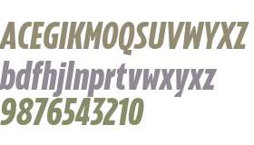 Konsole italic v1.1 TRIAL Cond Bd