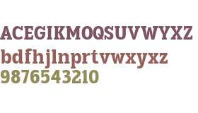 TBJ Goslap SemCond Display