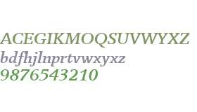 Breughel W01 66 Bold Italic