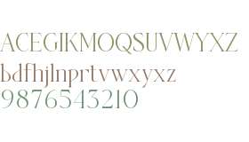 The SARGENT Serif