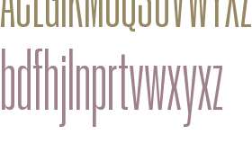 PP Neue Corp Compressed Medium