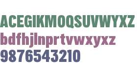 Lorimer No 2 Trial Condensed Black