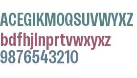 RB Rational Neue Condensed Test SmBd