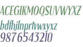Bostone Italic Personal Use
