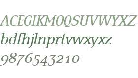 Ying W01 Light Italic