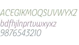 Ashemore W01 Cond Light Italic